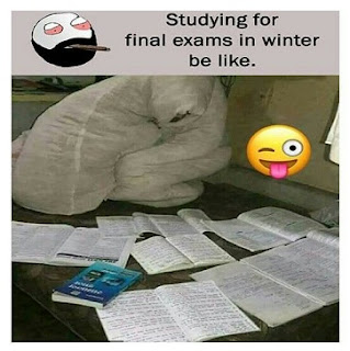 Exam Time Funny Images | पेपरों के समय बच्चों का हुआ ऐसा हाल, जिसे देख रोता हुआ इंसान भी हँसने लग जाए Exam Time Funny Images, funny images of students during exam, funny images of exam stress, exam images funny