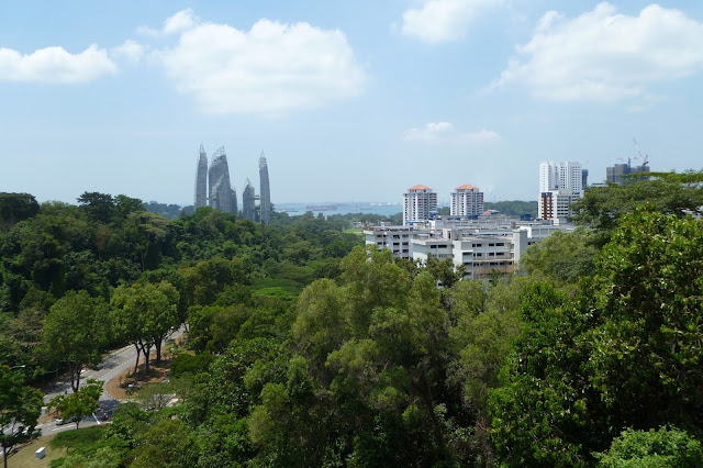 Widok na Singapur Southern Ridges Walk