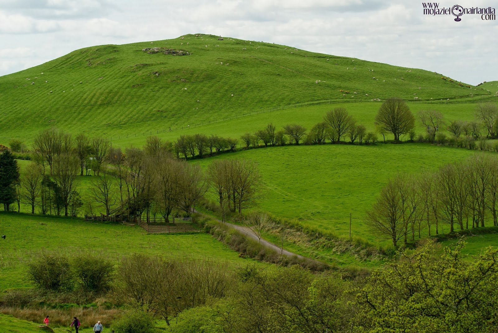 Moja Zielona Irlandia: Post No.62: Jak Czarownica nad Irlandią latała....