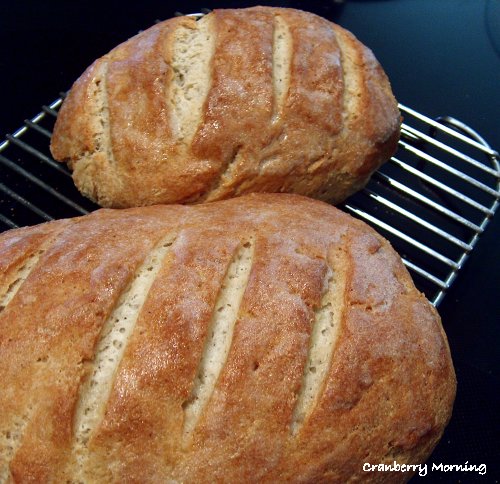 Cranberry Morning: Best Gluten-Free Bread Recipe