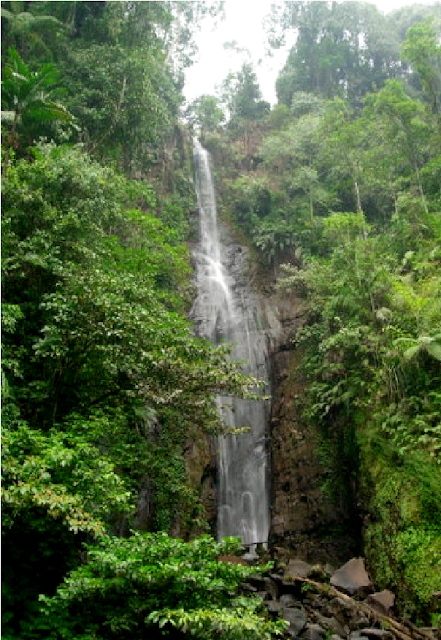 curug cikaracak tempat wisata di bogor
