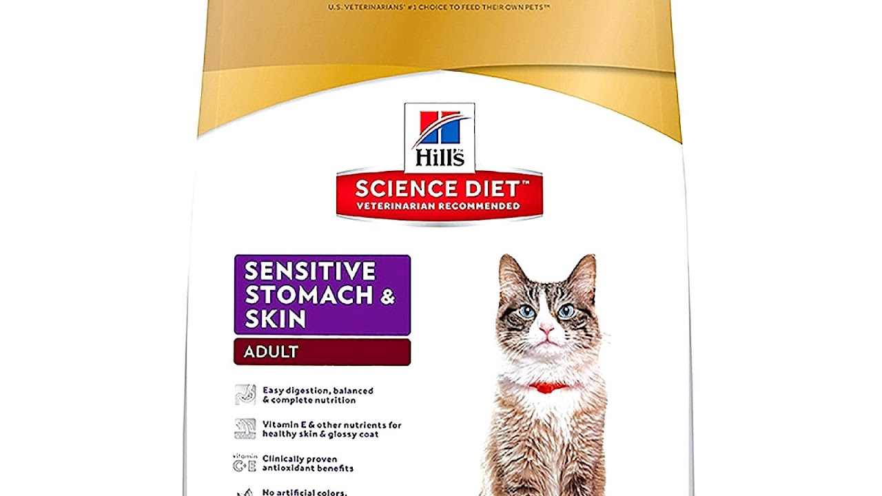 Best Cat Food For Sensitive Stomach Cat Choices