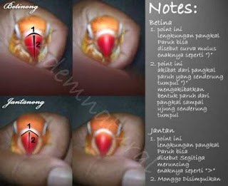 Cara-membedakan-lovebird-jantan-dan-betina-dewasa,membedakan-lovebird-jantan-dan-betina-umur-2-dan-3-bulan,membedakan-lovebird-jantan-dan-betina-anakan, Cara-membedakan-lovebird-jantan-dan-betina-dewasa,membedakan-lovebird-jantan-dan-betina-umur-2-dan-3-bulan,membedakan-lovebird-jantan-dan-betina-anakan,
