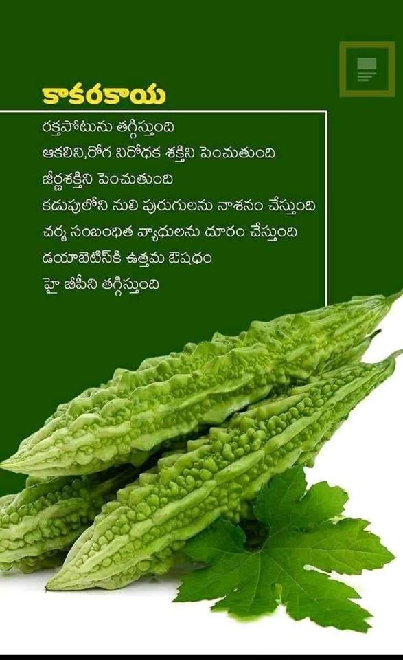 TELUGU WEB WORLD 5 benefits of eating bitter gourd aka karela