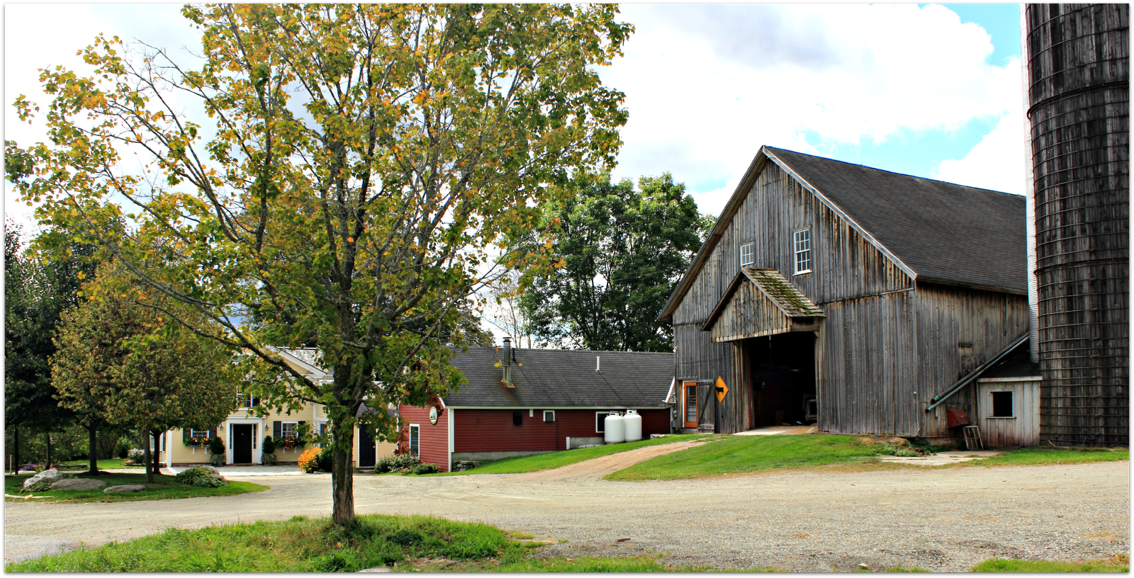 I've been wanting to photograph this very beautiful dairy farm in