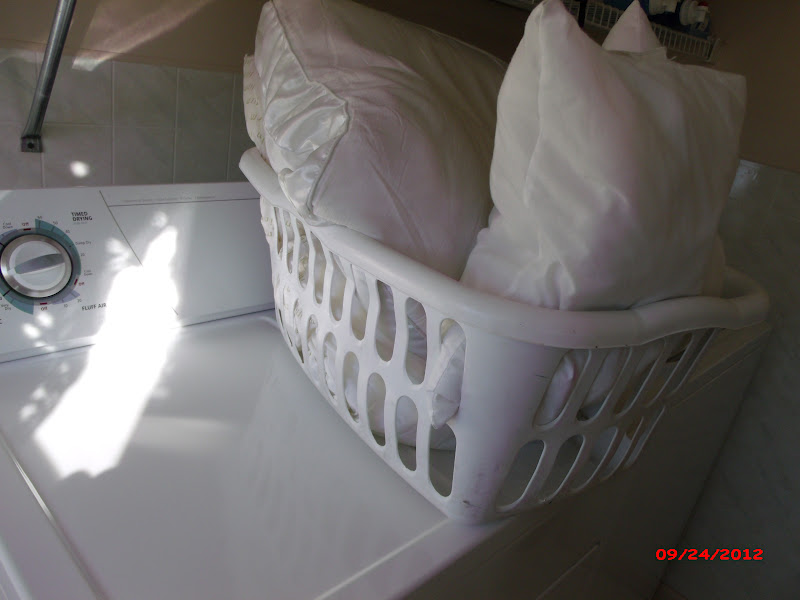 COUNTRY WHISPERS Bed Pillows Toss or Wash??