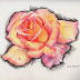 A Rose Drawing