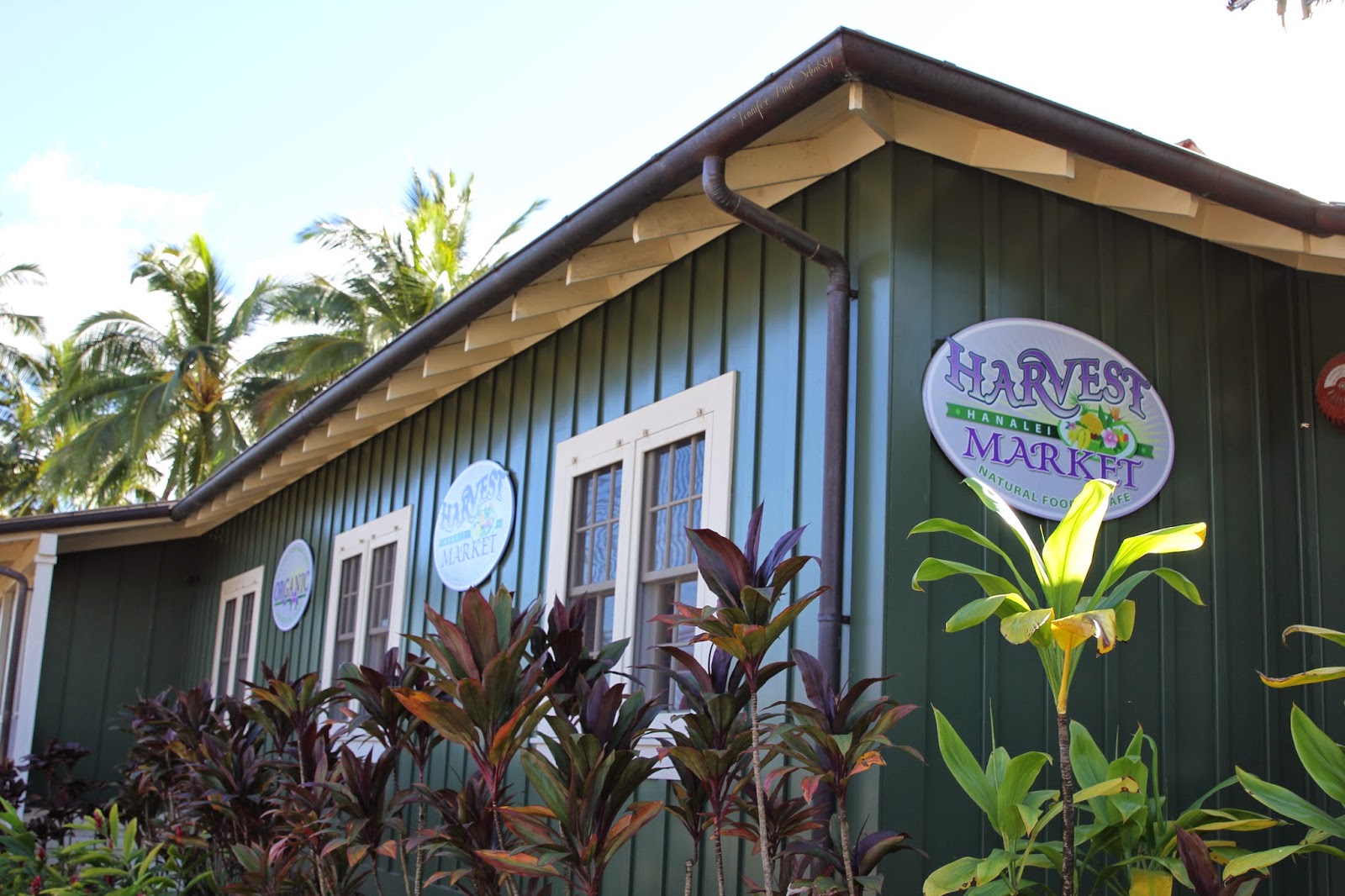 Hawks and honey Kauai 2014 {Day 8 Hanalei and Camping at Haena Beach Park}