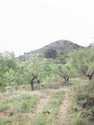 La pileta, camino, pantano de Pena, embalse, finca, almendros, olivos 34