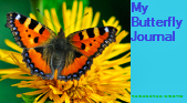 My Butterfly Journal Series