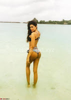 Gizele Thakral the Spicy Bigg Boss 10 Contestant in Bikini 17.jpg Gizele Thakral the Spicy Bigg Boss 10 Contestant in Bikini 17.jpg