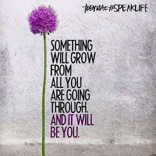 Growth