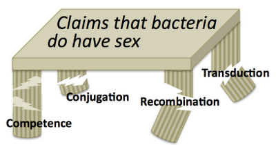 Do Bacteria Have Sex 37