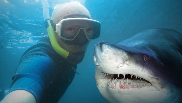 Foto de uma Selfie com um tubarão 