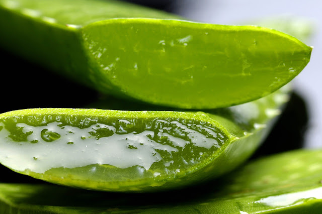 What are the benefits of aloe vera for hair?