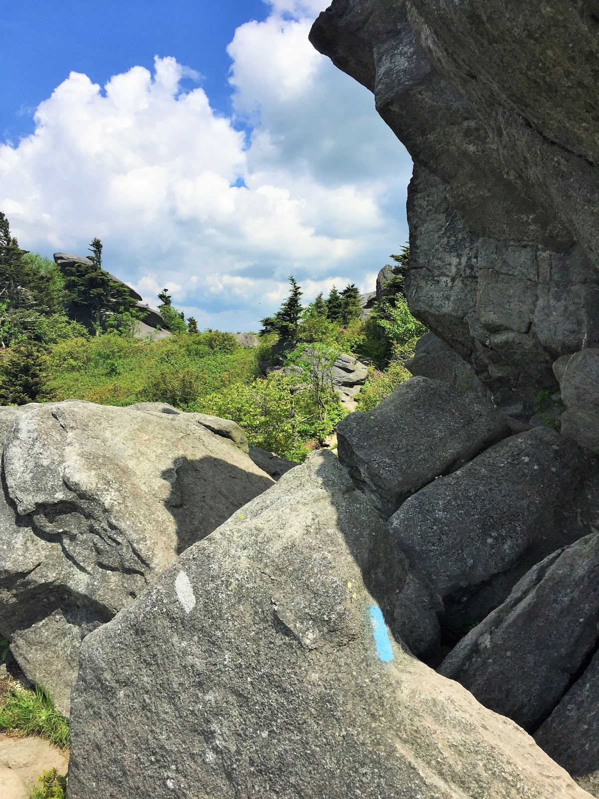 Down the Road Chutes & Ladders Hike on Grandfather Mountain NC
