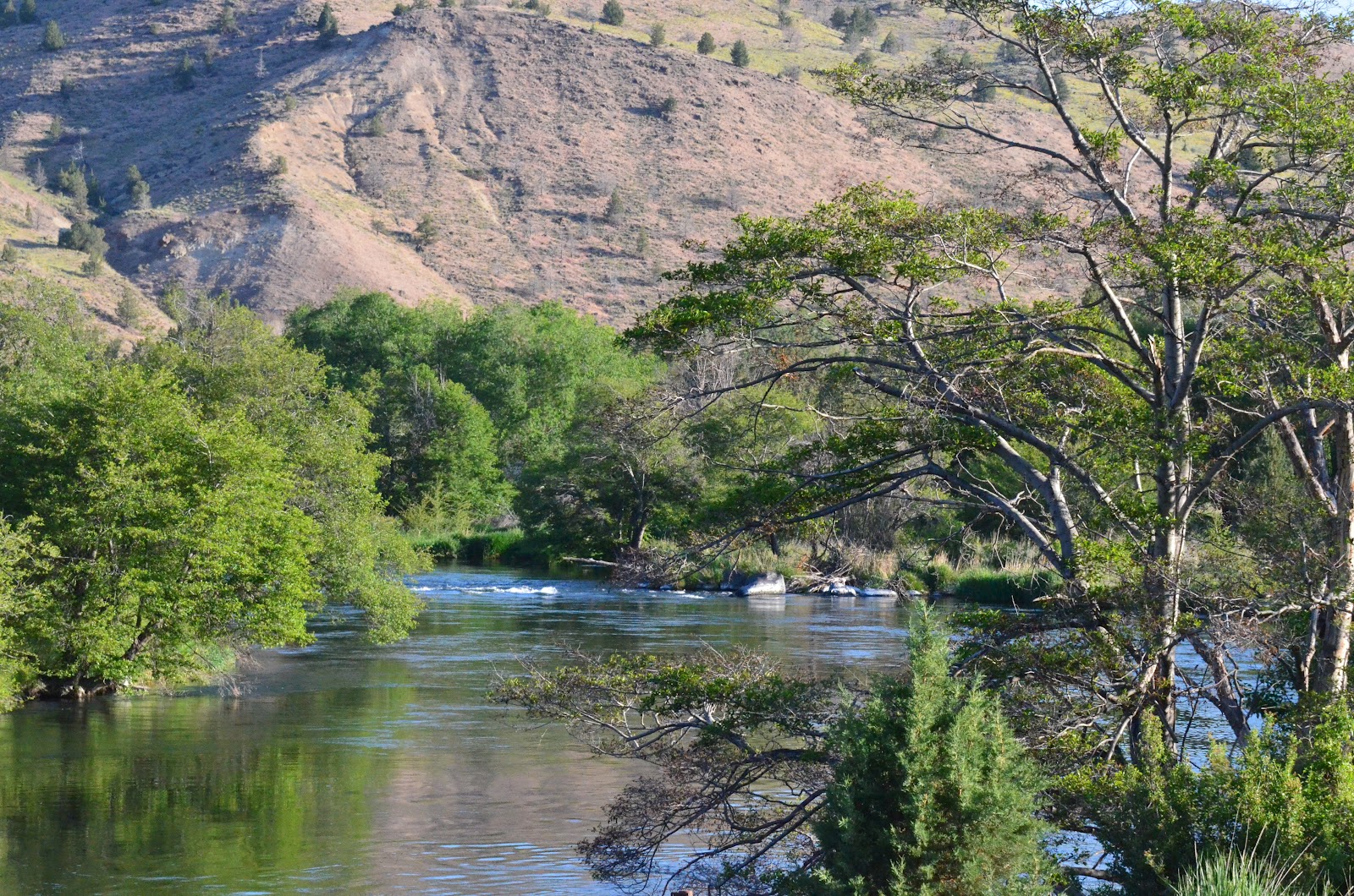 Oregon through my eyes Deschutes River and Trout Creek near Gateway, Oregon