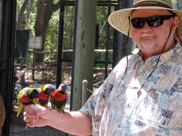 Opa doing his impression of the Lorikeet whisper! Reef Indy was pensive but impressed.