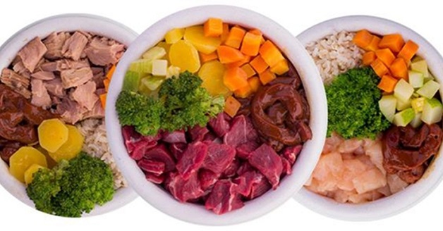 Melhores e piores alimentos para seu cachorro