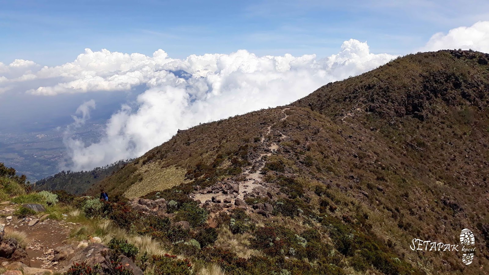 Setapak Kecil Gunung Arjuno Mencoba Jalur Purwosari Yang Penuh Misteri