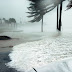 U S disaster relief agency leaks private data of hurricane survivors