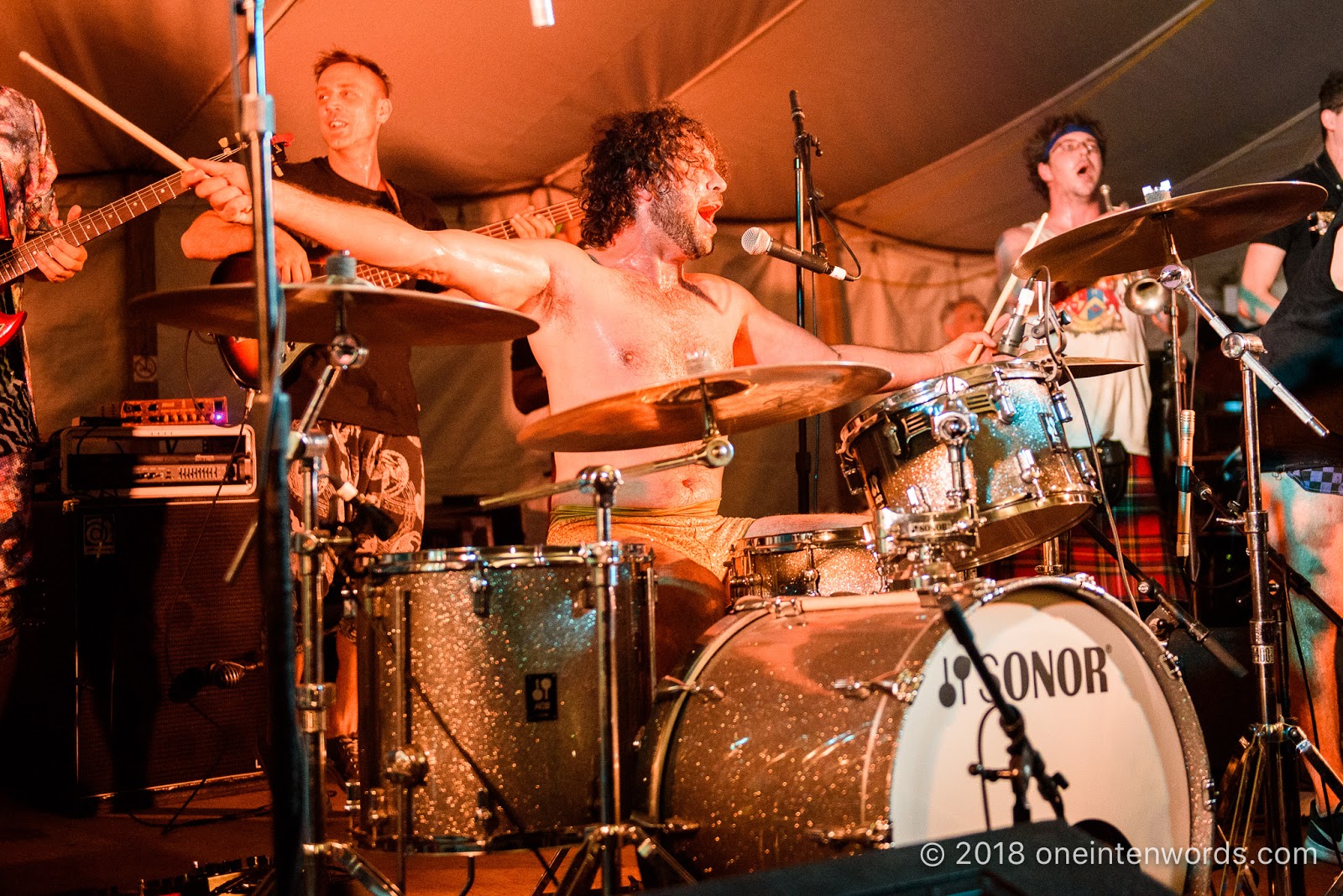 one in ten words Hillside 2018 Day 2 Five Alarm Funk Concert Photos