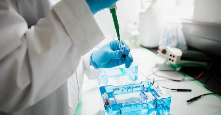 ADN: Negativa de someterse a prueba será considerada como aceptación de paternidad ADN: Negativa de someterse a prueba será considerada como aceptación de paternidad
