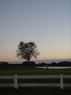 Campos de golf Campos de golf