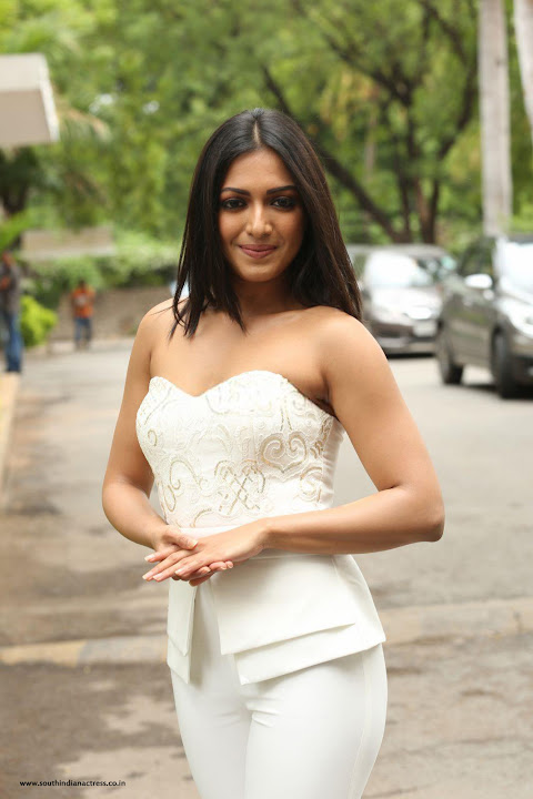 Catherine Tresa at Gautham Nanda Teaser Launch