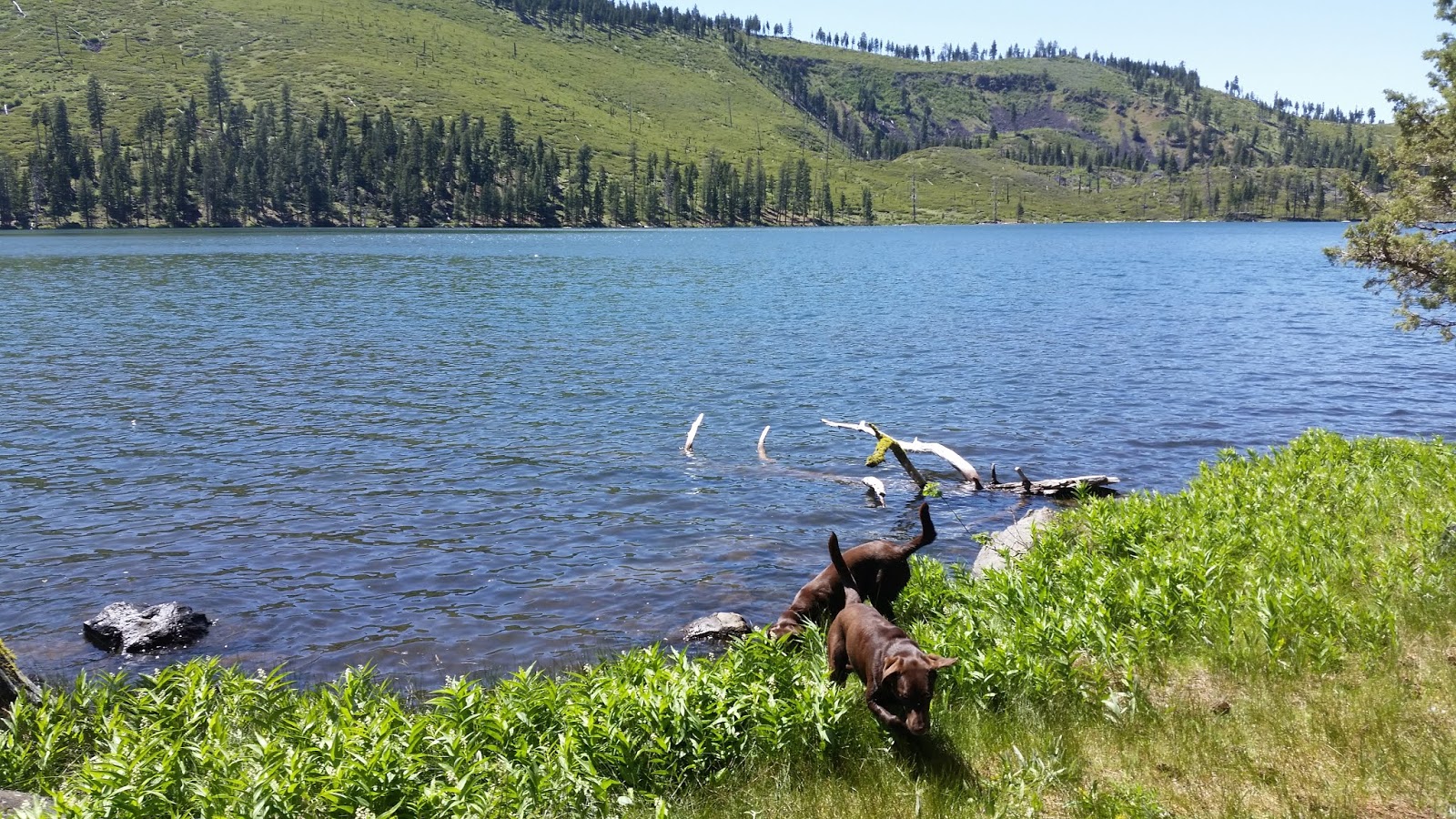 Wes' Travels to California Lakes Blue Lake Lassen County, California