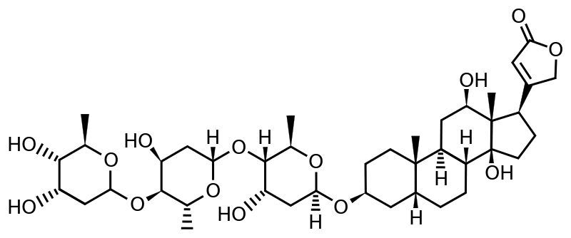 DIGOKSIN