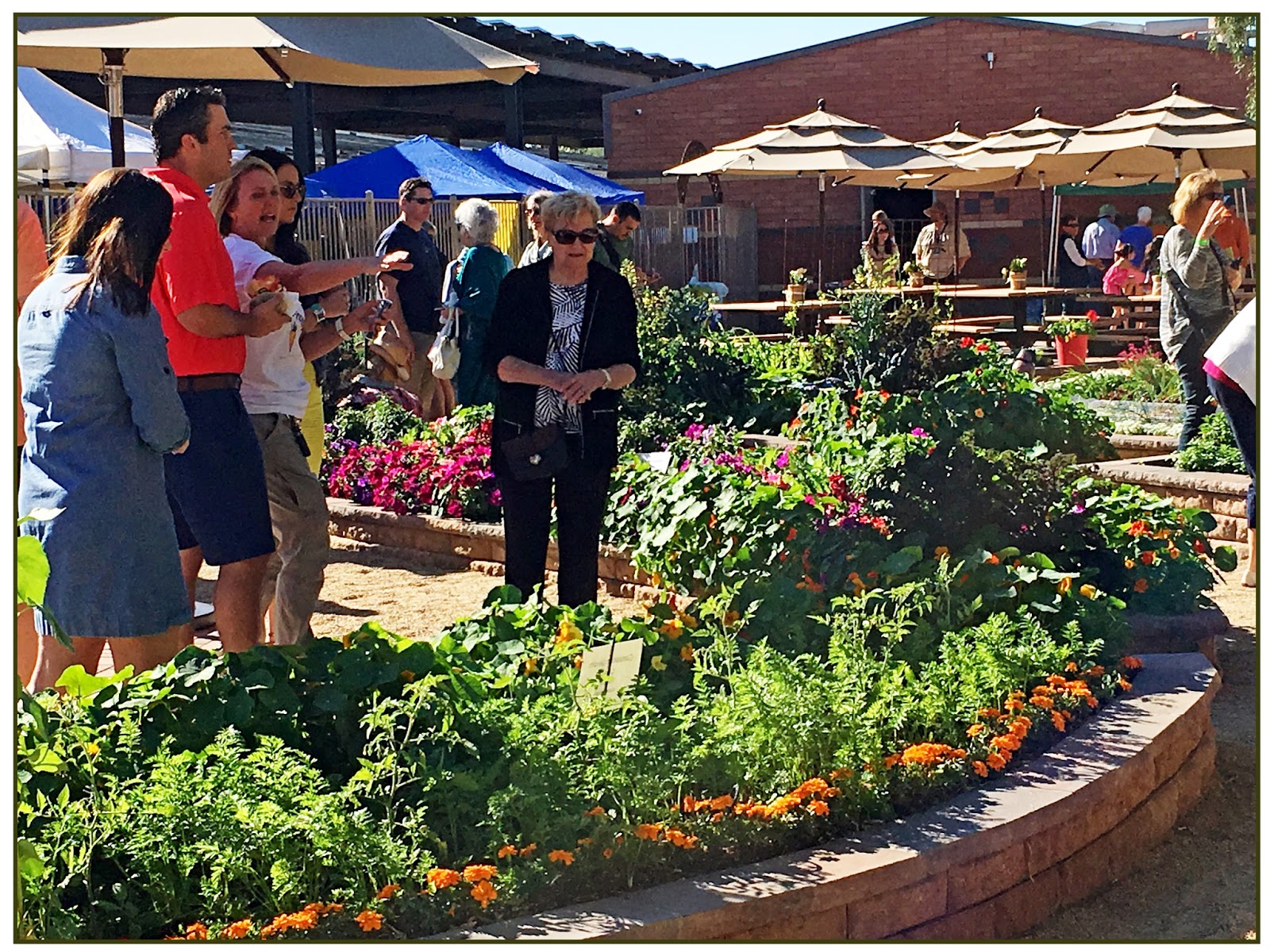 Over The Garden Gate AZ Garden Tour first stop!