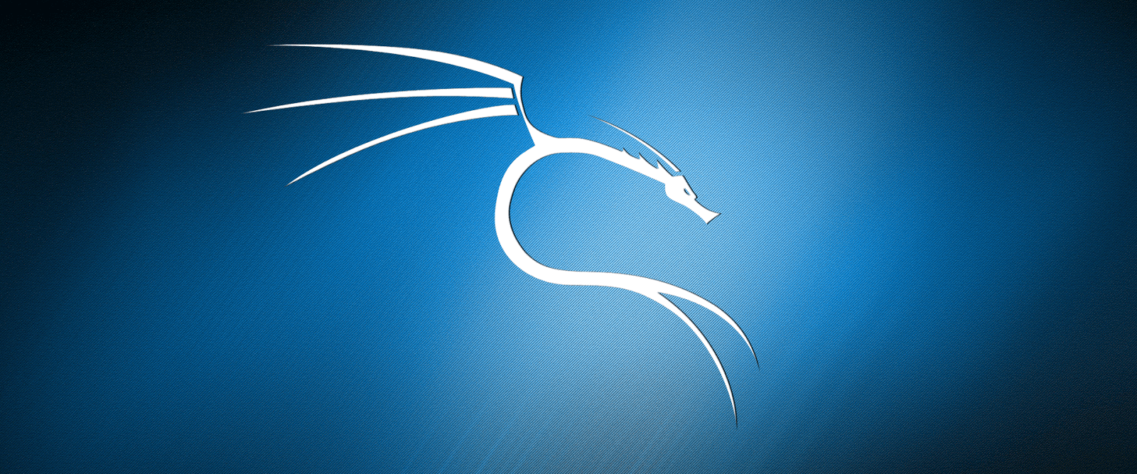 music collector linux