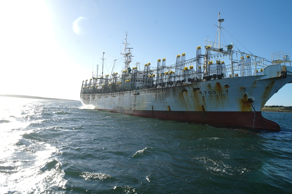 Penguin's Postcards Thoughts from the deep south Jigger Season