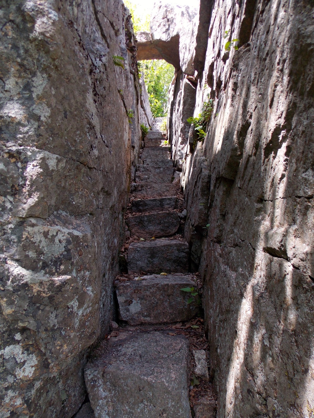 The Happy Nomads : Hiking Acadia National Park