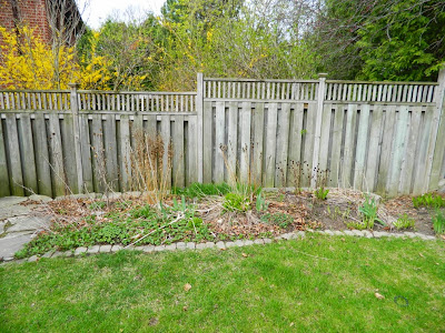 Garden cleanup Graydon before by Paul Jung Gardening Services Toronto