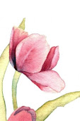 One Pink Tulip