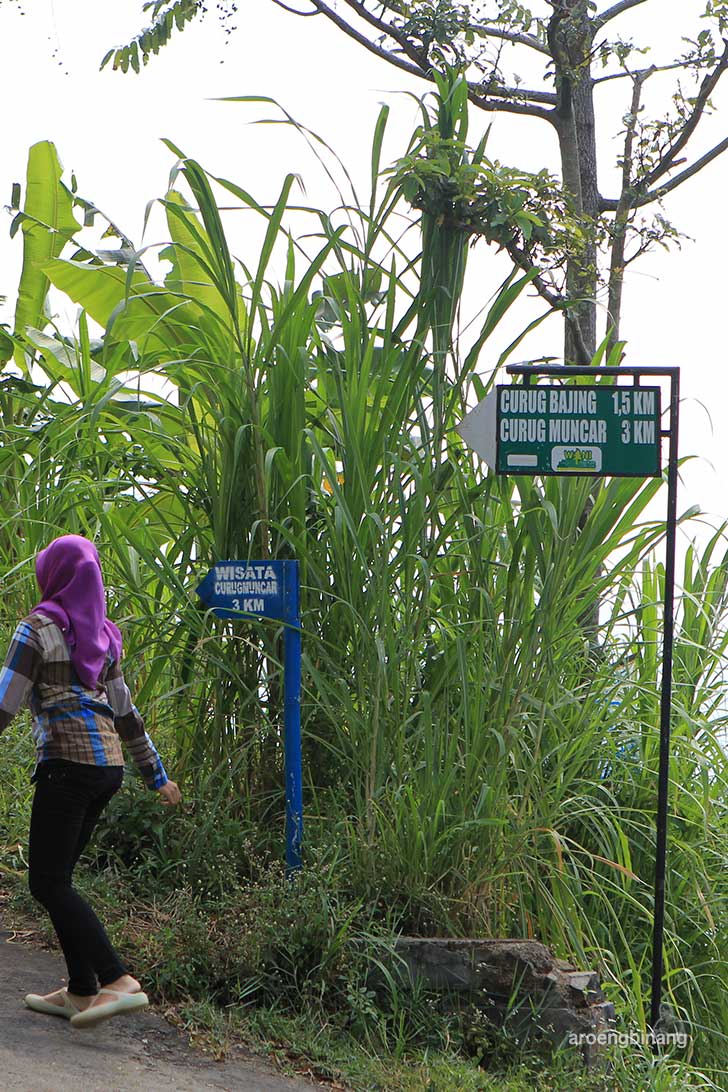 curug bajing petungkriyono pekalongan