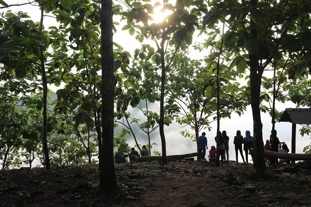 Menikmati Matahari Terbit di Bukit Panguk Kediwung