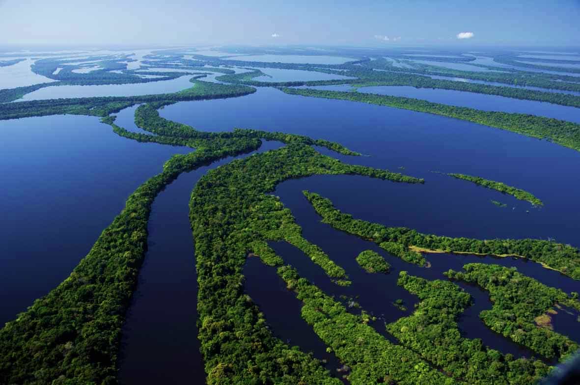 Amazonas | Geografia e História do Estado do Amazonas - Geografia Total™