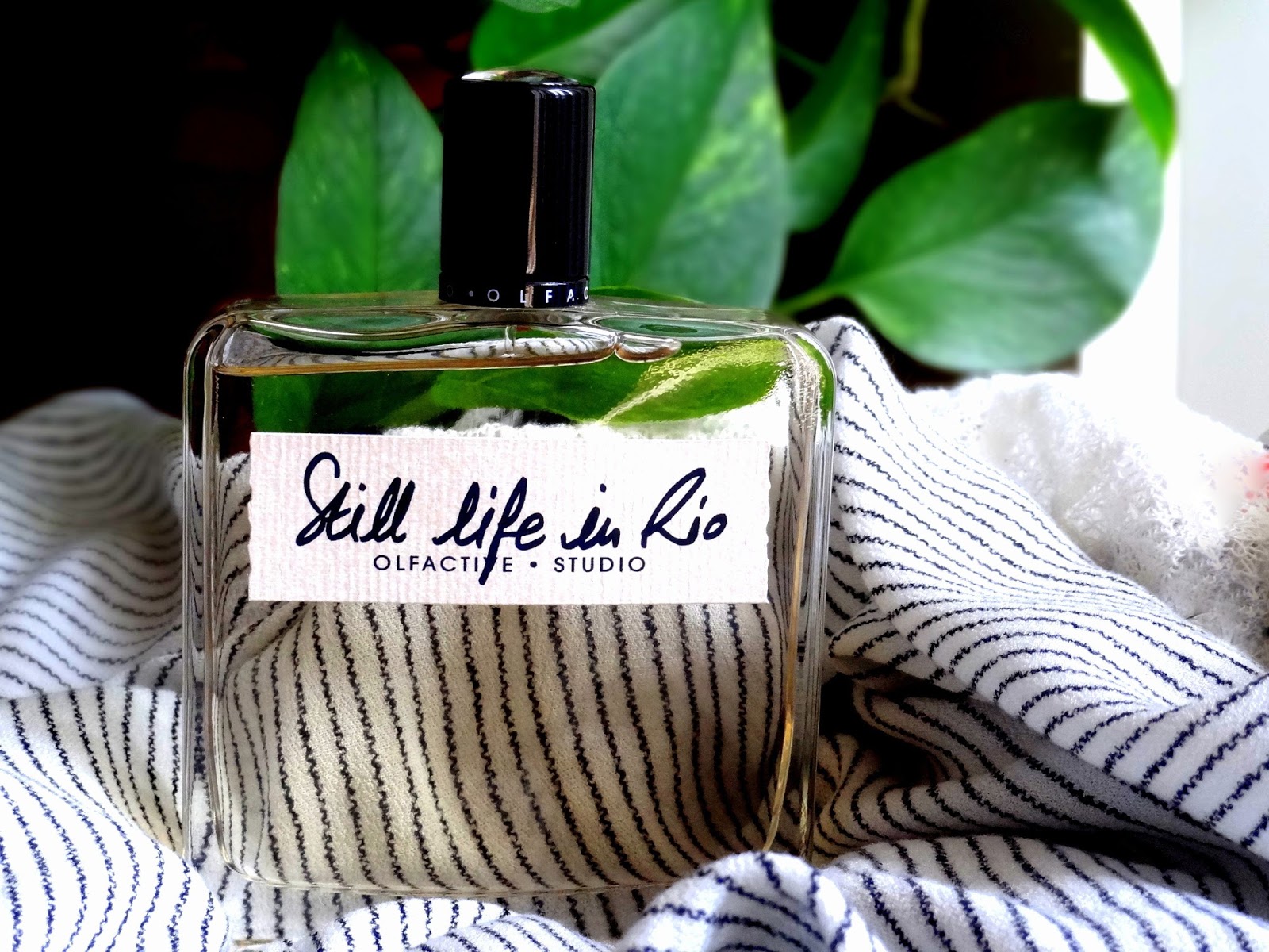 Olfactive studio still life. Olfactive studio rio. Olfactive studio still life. Olfactive studio woody mood. ольфактив студио рио.