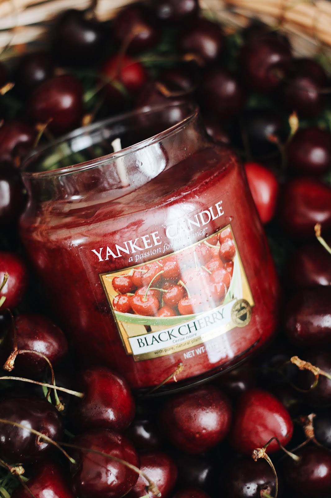 аромат "Черная черешня" от Yankee Candle/www.gronskaya.com аромат "Черная черешня" от Yankee Candle/www.gronskaya.com