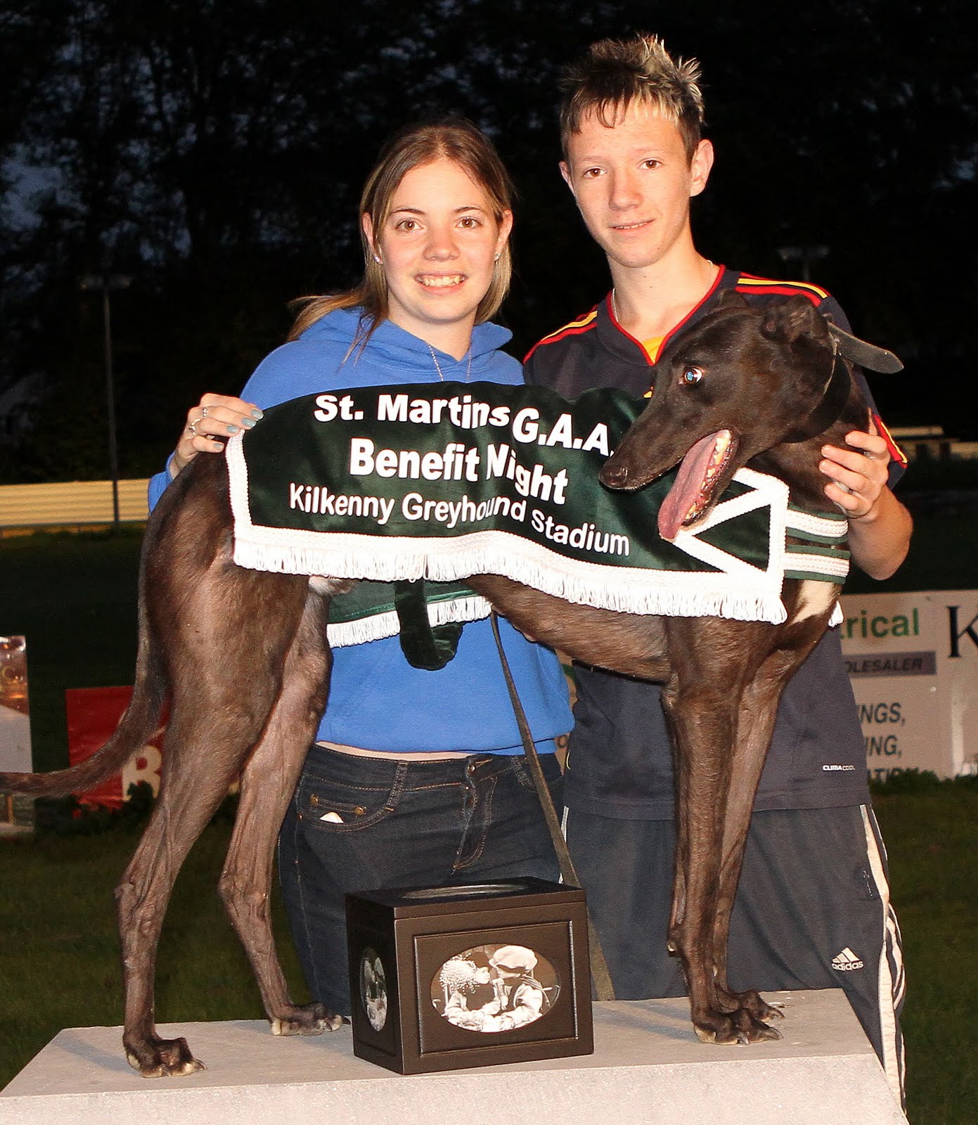 Kilkenny Dogs Photo Gallery