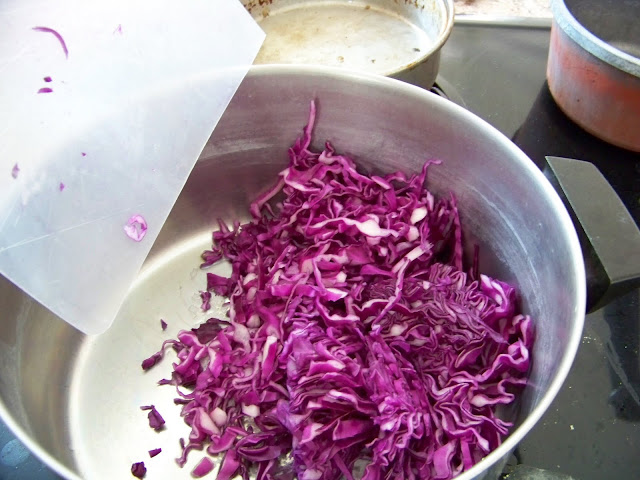 Red cabbage in pot