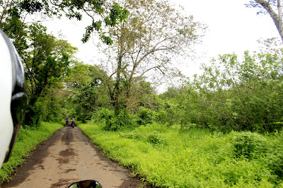 Menuju Bekol - TN Baluran