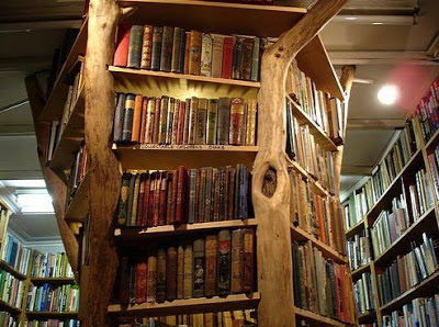 The Blog Fodder: Bookshelves