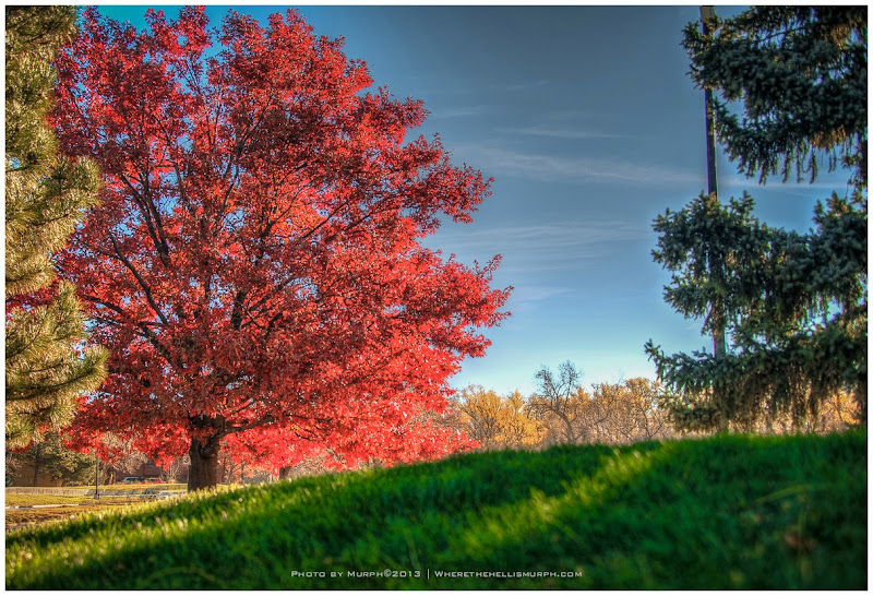 Where the Hell is Murph ?... AND A TEMPORARY HELLO to BOULDER, COLORADO.