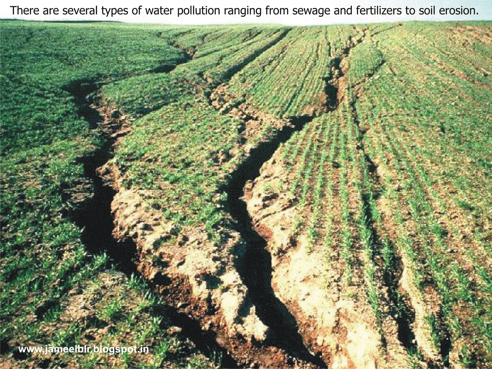 Эрозия сельскохозяйственных земель. Эрозия почвы. Разрушение почвы. Деградация земель пути решения. Ухудшение структуры почвы.