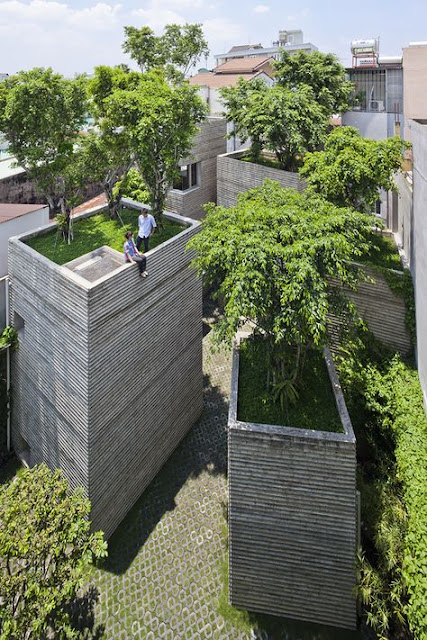 自然それとも建築？緑に覆われた緑化建築。8つ【arc】木の鉢になる家
