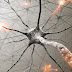 Pesquisadores descobriram células "zumbis" que contribuem para a degeneração cognitiva